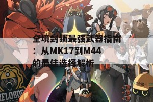 全境封锁最强武器指南：从MK17到M44的最佳选择解析