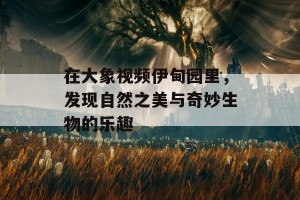 在大象视频伊甸园里，发现自然之美与奇妙生物的乐趣