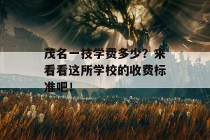 茂名一技学费多少？来看看这所学校的收费标准吧！