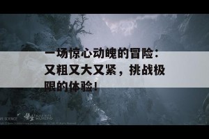 一场惊心动魄的冒险：又粗又大又紧，挑战极限的体验！