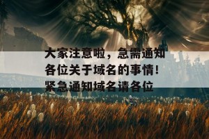 大家注意啦，急需通知各位关于域名的事情！紧急通知域名请各位