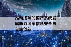 推动成熟的国产系统发展助力国家信息安全与自主创新