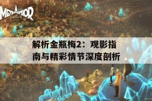 解析金瓶梅2：观影指南与精彩情节深度剖析