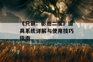 《只狼：影逝二度》道具系统详解与使用技巧指南