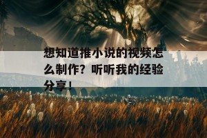 想知道推小说的视频怎么制作？听听我的经验分享！