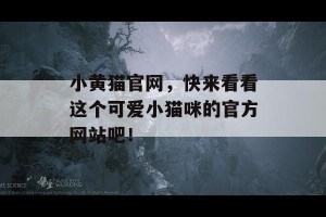 小黄猫官网，快来看看这个可爱小猫咪的官方网站吧！