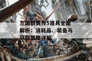 三国群英传5道具全面解析：消耗品、装备与获取策略详解