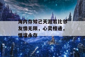 海内存知己天涯若比邻友情无限，心灵相通，情谊永存