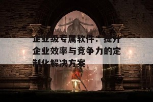 企业级专属软件：提升企业效率与竞争力的定制化解决方案