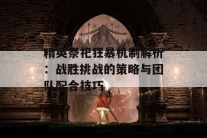 精英祭祀狂暴机制解析：战胜挑战的策略与团队配合技巧