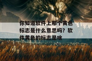 你知道软件上那个黄色标志是什么意思吗？软件黄色的标志是啥