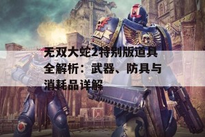 无双大蛇2特别版道具全解析：武器、防具与消耗品详解