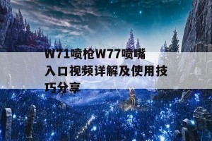 W71喷枪W77喷嘴入口视频详解及使用技巧分享