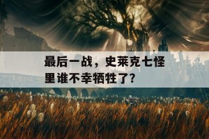 最后一战，史莱克七怪里谁不幸牺牲了？