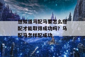 想知道马配马要怎么搭配才能取得成功吗？马配马怎样配成功