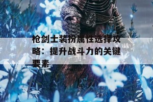 枪剑士装扮属性选择攻略：提升战斗力的关键要素