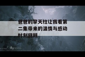 爸爸的擎天柱让我看第二集带来的温情与感动时刻回顾