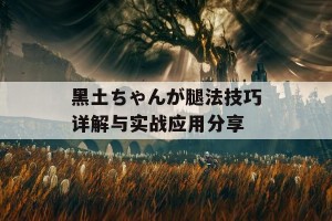 黑土ちゃんが腿法技巧详解与实战应用分享