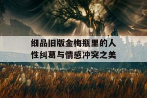 细品旧版金梅瓶里的人性纠葛与情感冲突之美