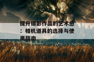 提升摄影作品的艺术感：相机道具的选择与使用指南