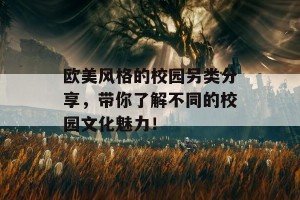 欧美风格的校园另类分享，带你了解不同的校园文化魅力！