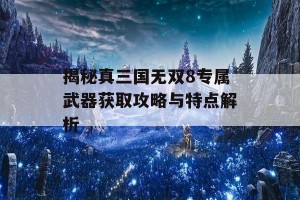 揭秘真三国无双8专属武器获取攻略与特点解析