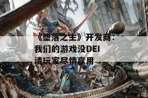 《堕落之主》开发商：我们的游戏没DEI 请玩家尽情享用