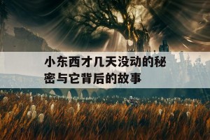 小东西才几天没动的秘密与它背后的故事