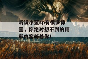 听说小蓝sp有很多惊喜，你绝对想不到的精彩内容等着你！