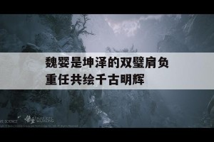 魏婴是坤泽的双璧肩负重任共绘千古明辉