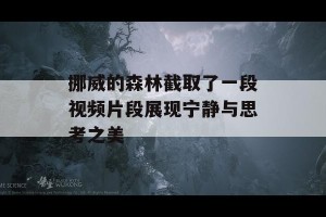 挪威的森林截取了一段视频片段展现宁静与思考之美