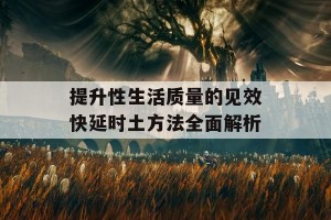 提升性生活质量的见效快延时土方法全面解析