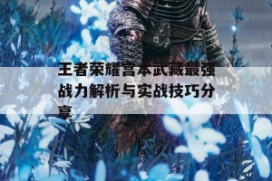 王者荣耀宫本武藏最强战力解析与实战技巧分享