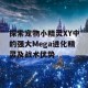 探索宠物小精灵XY中的强大Mega进化精灵及战术优势