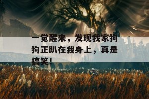 一觉醒来，发现我家狗狗正趴在我身上，真是搞笑！