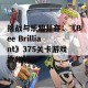 挑战与乐趣并存：《Bee Brilliant》375关卡游戏攻略解析