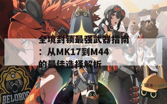 全境封锁最强武器指南：从MK17到M44的最佳选择解析