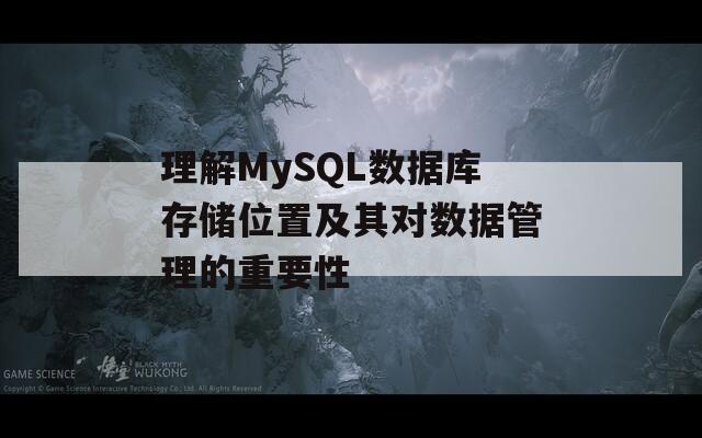 理解MySQL数据库存储位置及其对数据管理的重要性