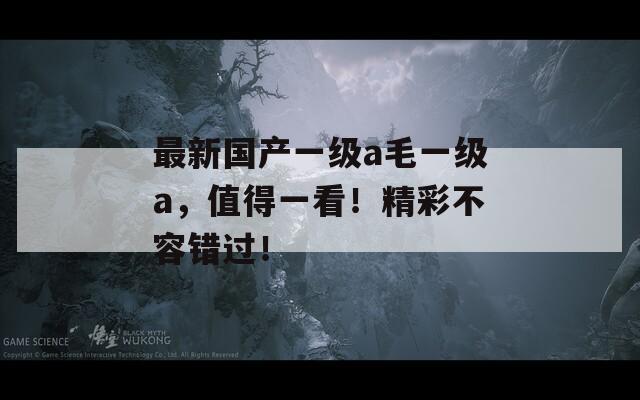 最新国产一级a毛一级a，值得一看！精彩不容错过！