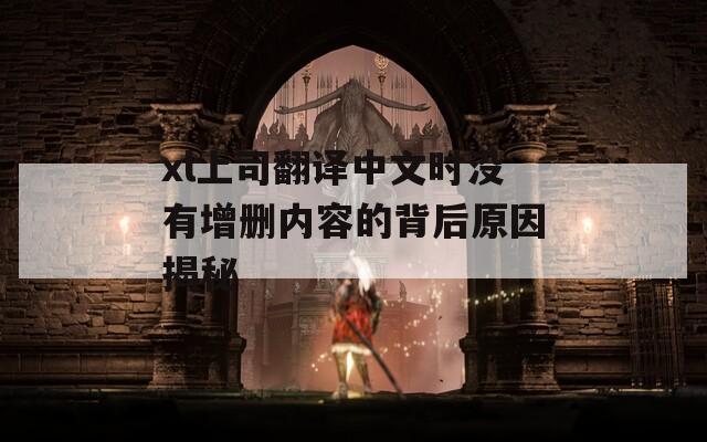 xl上司翻译中文时没有增删内容的背后原因揭秘