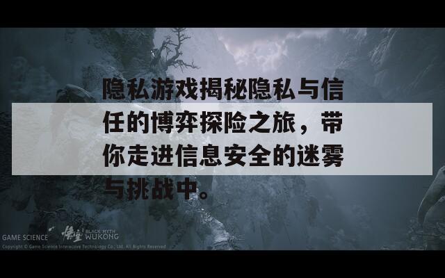 隐私游戏揭秘隐私与信任的博弈探险之旅，带你走进信息安全的迷雾与挑战中。