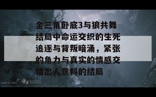 金三角卧底3与狼共舞结局中命运交织的生死追逐与背叛暗涌，紧张的角力与真实的情感交错出人意料的结局