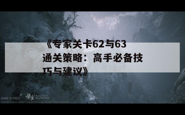 《专家关卡62与63通关策略：高手必备技巧与建议》