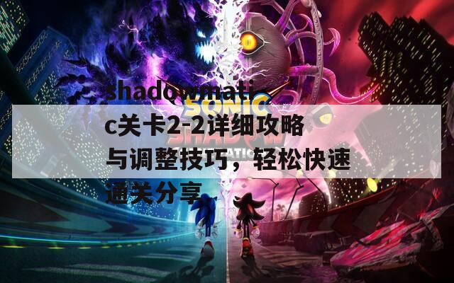 shadowmatic关卡2-2详细攻略与调整技巧，轻松快速通关分享