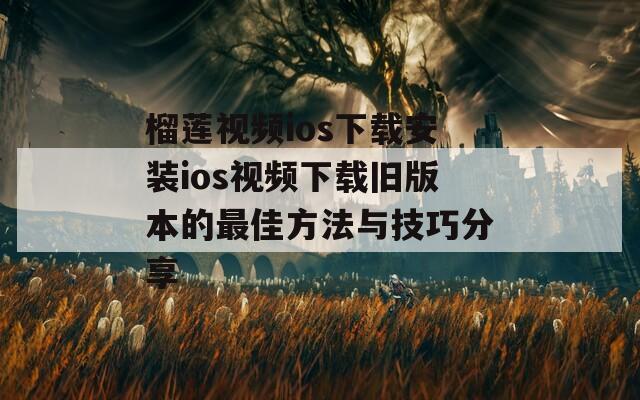 榴莲视频ios下载安装ios视频下载旧版本的最佳方法与技巧分享