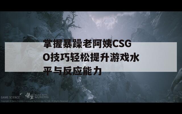 掌握暴躁老阿姨CSGO技巧轻松提升游戏水平与反应能力