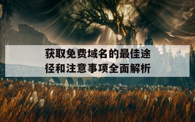 获取免费域名的最佳途径和注意事项全面解析