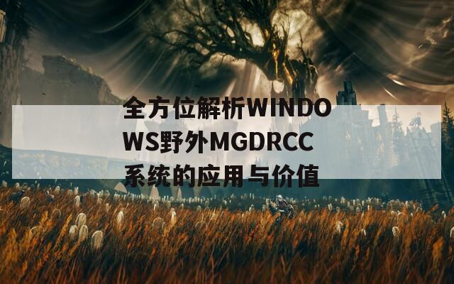 全方位解析WINDOWS野外MGDRCC系统的应用与价值