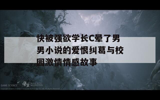 快被强欲学长C晕了男男小说的爱恨纠葛与校园激情情感故事