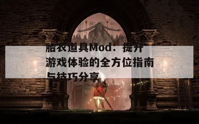 胎衣道具Mod：提升游戏体验的全方位指南与技巧分享